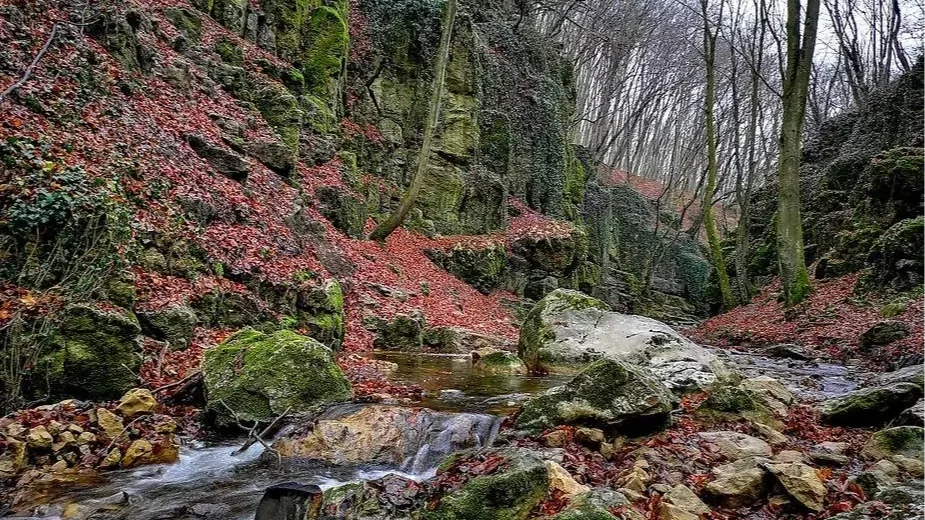 Kép forrása: hvim.hu