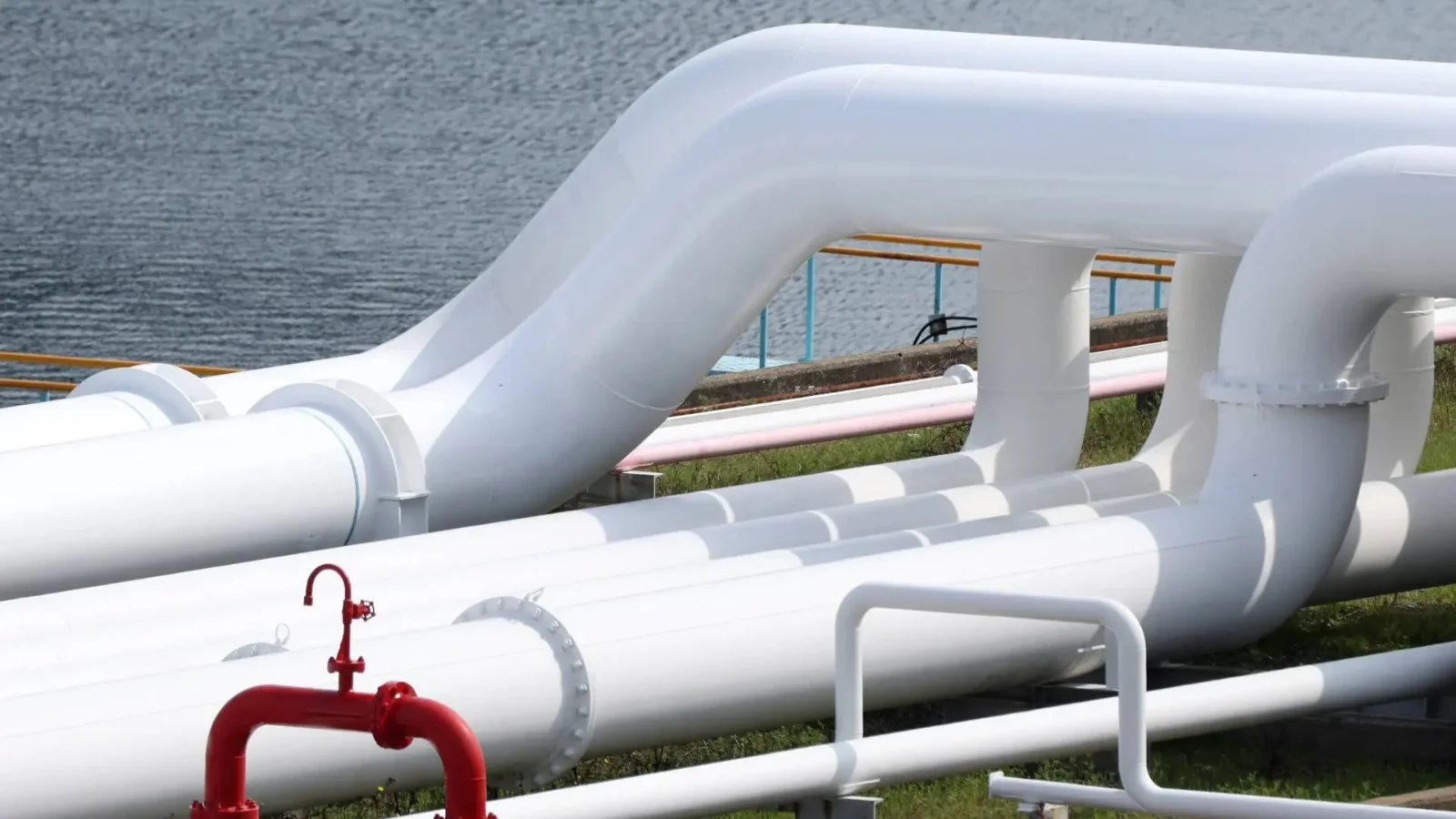 Kép forrása: Getty Images