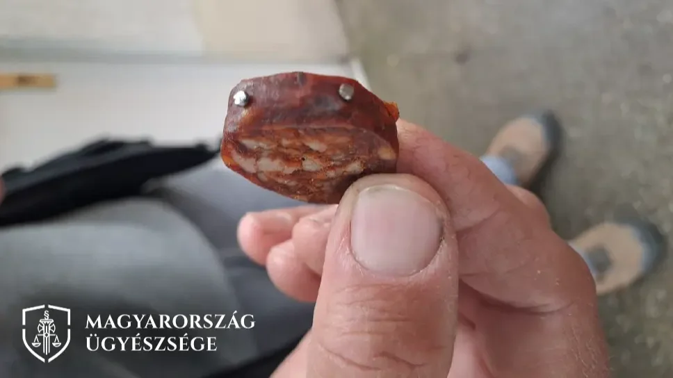 A kutyáknak készített szöggel teli kolbász | Forrás: Magyarország Ügyészsége