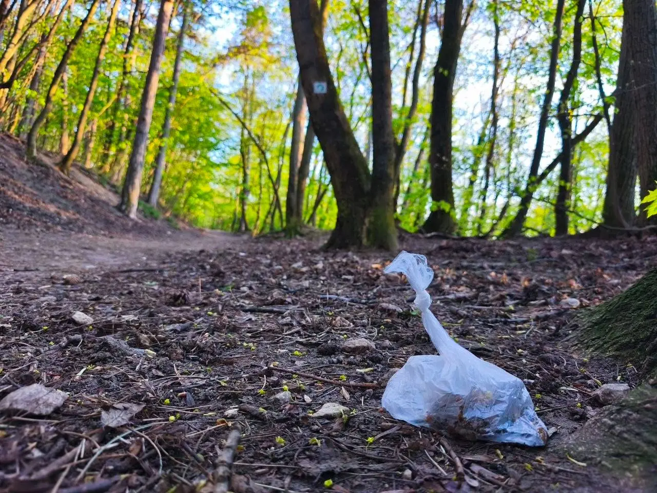 Nó pasarét! Fotó: Lipták Tamás