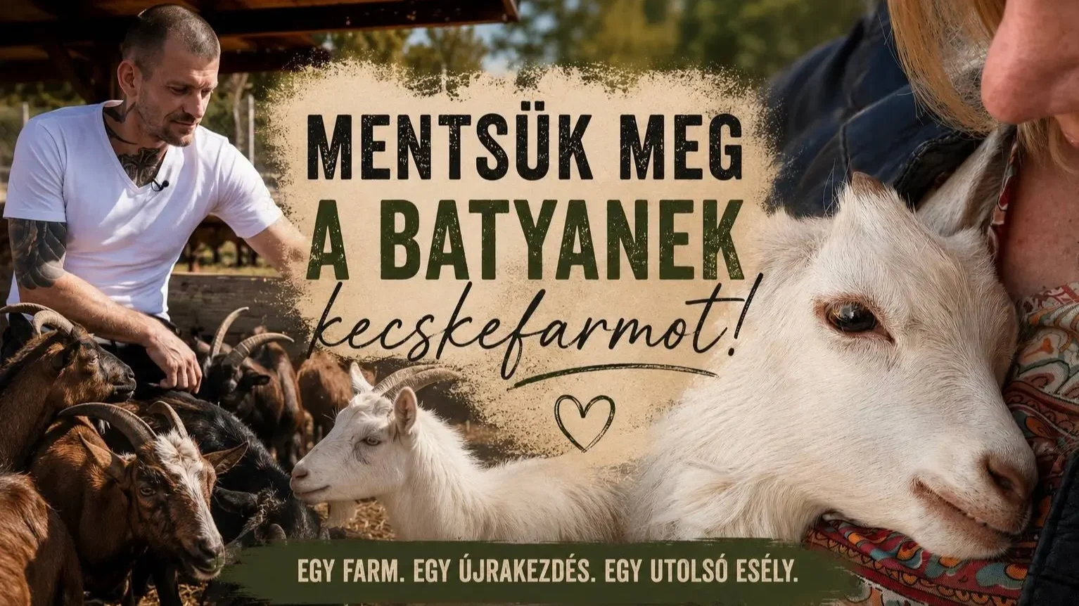 Fotó: Magyar Jelen
