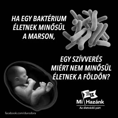 Kép forrása: Facebook/Mi Hazánk Mozgalom