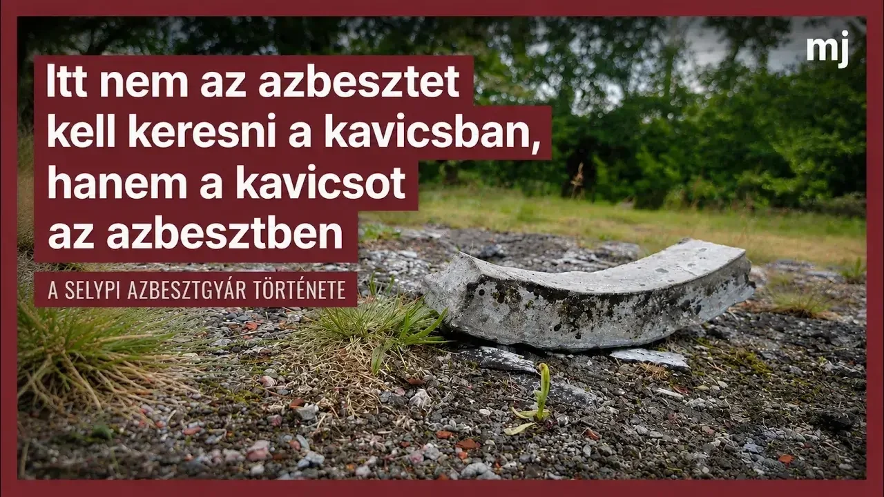 Fotó: Magyar Jelen