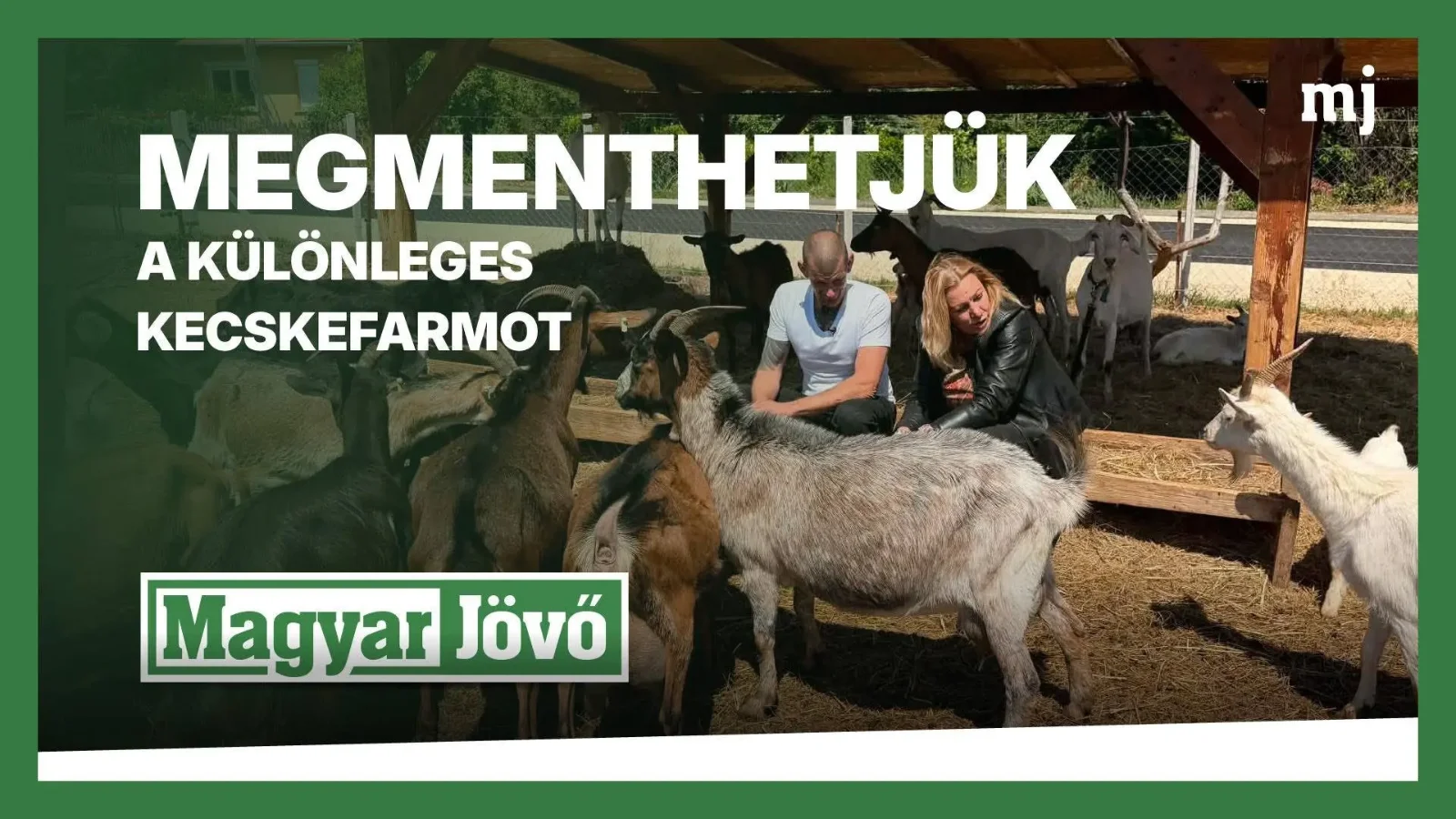Fotó: Magyar Jelen
