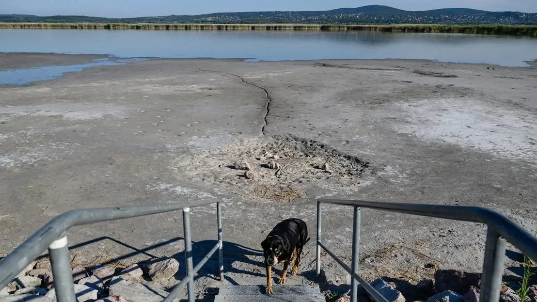 Fotó: Vasvári Tamás / MTI)