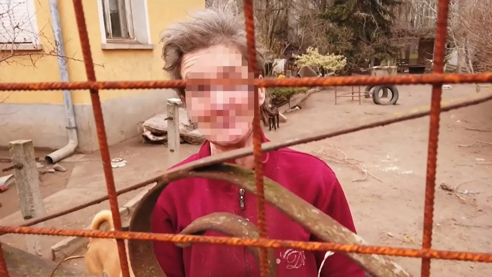 Hermin, a gyilkos korábban közel 150 kutyával élt együtt, amiket elvettek tőle, de újra szerzett magának állatokat | Kép forrása: Tények
