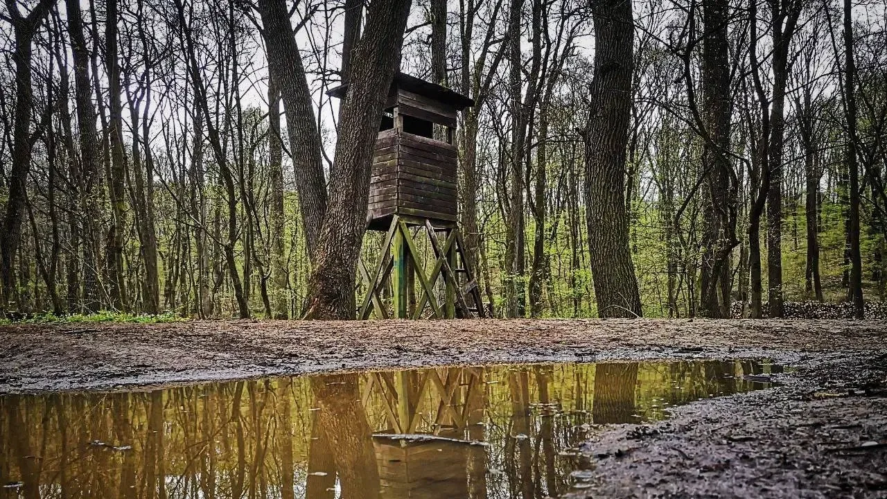 Fotó: Lipták Tamás/Magyar Jelen