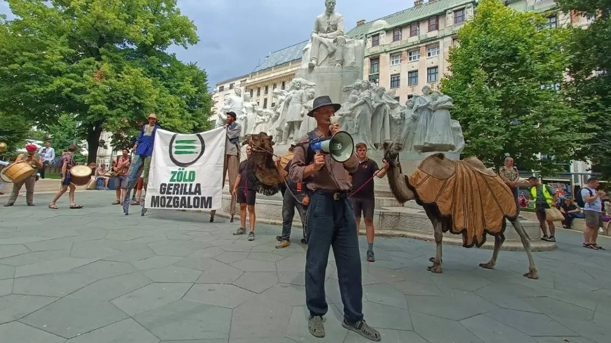 Tevekaraván Budapesten 2024-ben  | Fotó: Lipták Tamás/Magyar Jelen