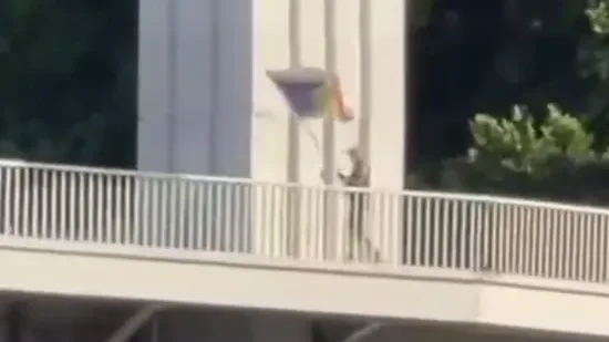 A Redditet sokkoló videó