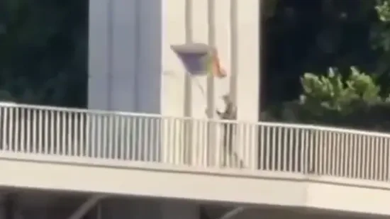 A Redditet sokkoló videó