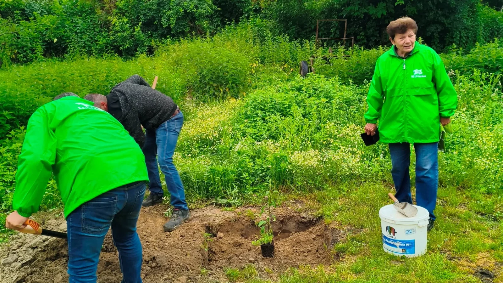 A Mi Hazánk őshonos gyümölcsfákat ültetett Csokonyavisontán | Forrás: saját