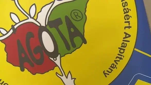 Kép forrása: Szent Ágota Gyermekvédelmi Szolgáltató