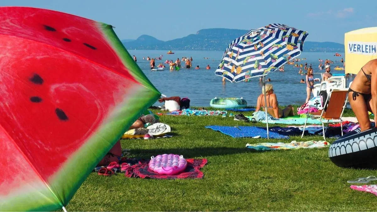 Kép forrása: Raketir/Shutterstock