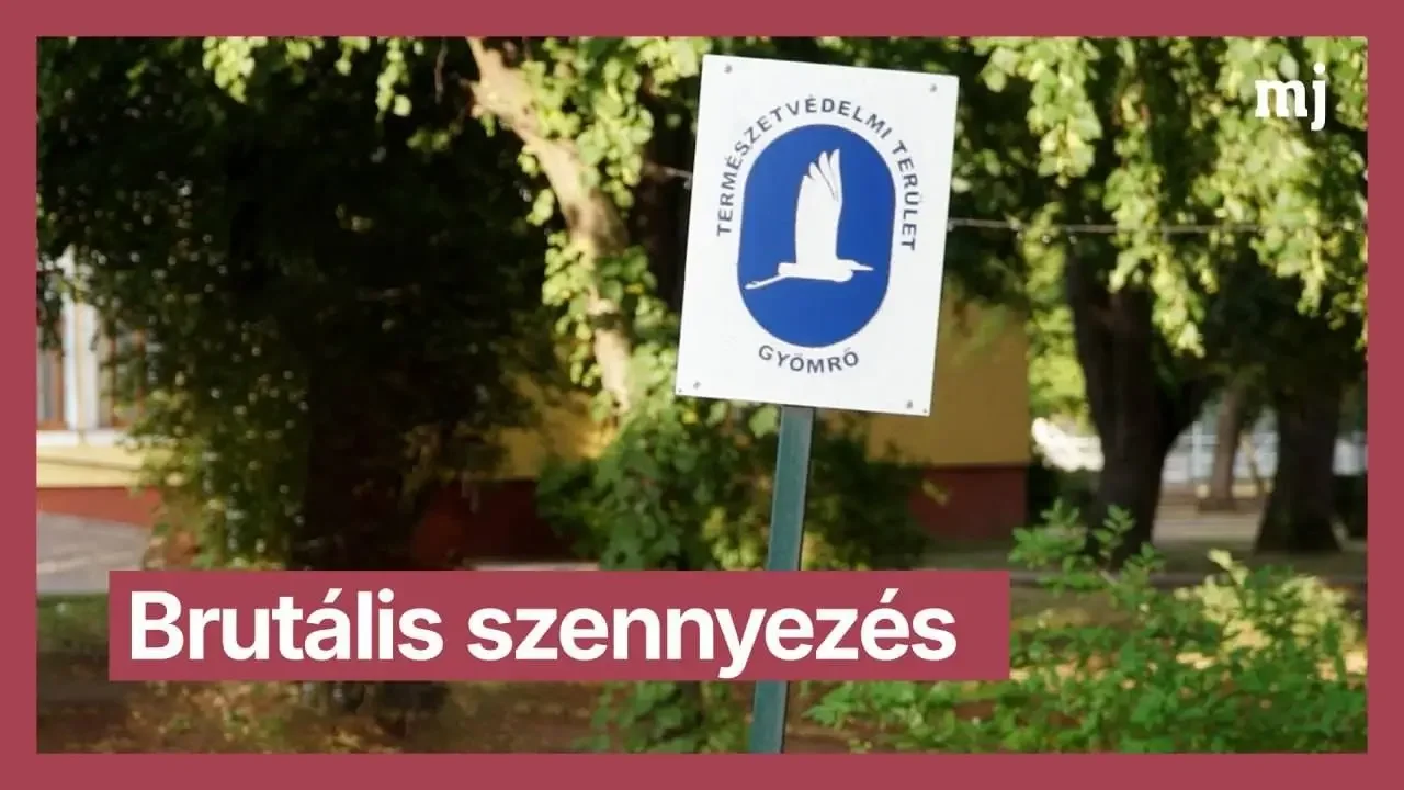 Fotó: Magyar Jelen