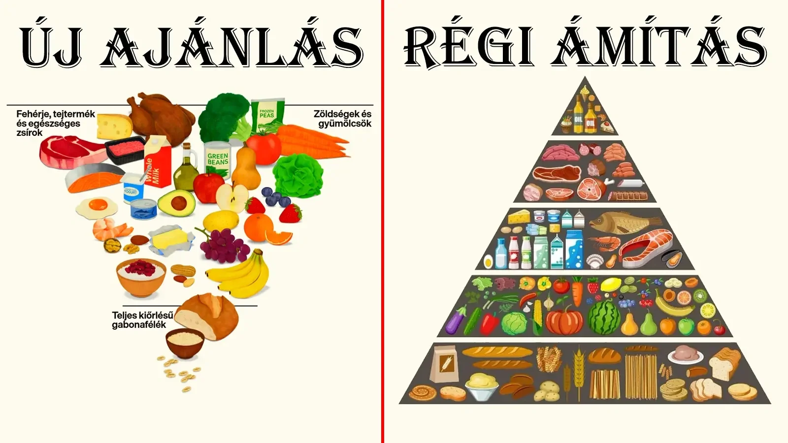 Régi és új | Kép: Remenyiczki Éva/Magyar Jelen | Felhasznált források: realfood.gov, mccohnmuscle.com