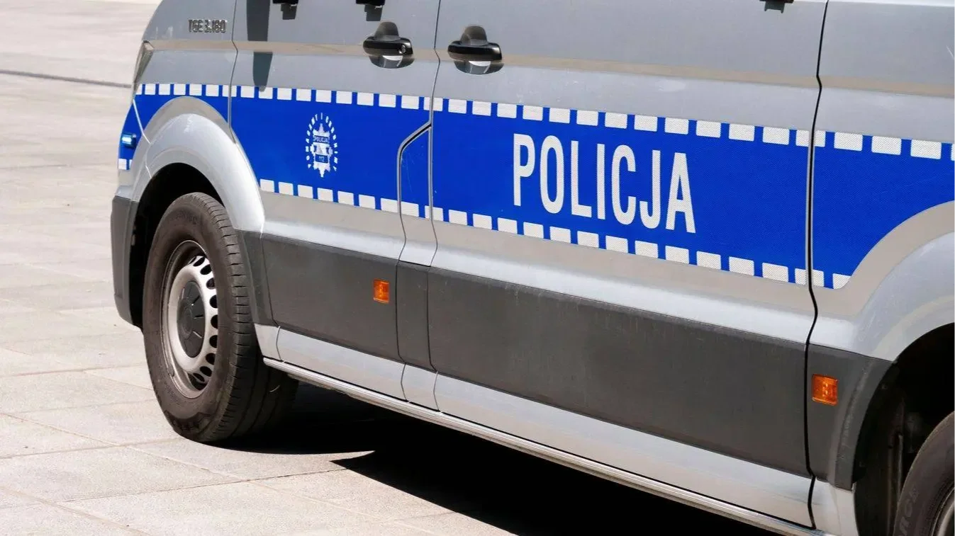 Kép forrása: Pexels