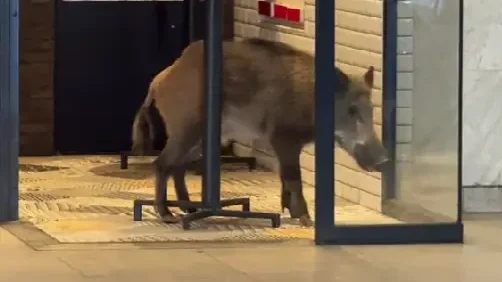 Képernyőkép / Szeretlek Magyarország