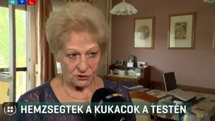 Kép forrása: RTL Híradó