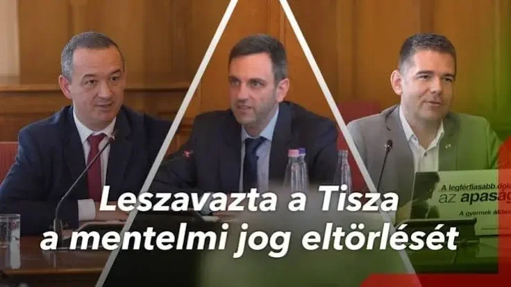 Kép forrása: Novák Előd YouTube-csatornája