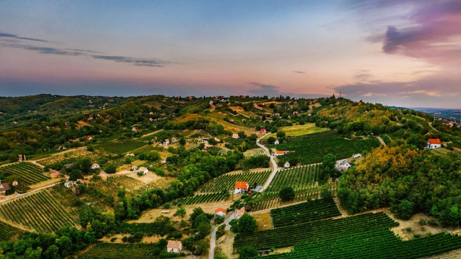 Forrás: Magyar Bor