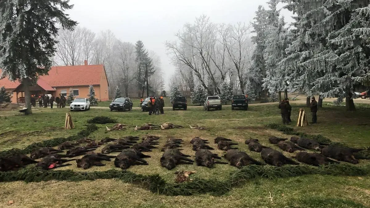 Kép forrása: besthunting.hu