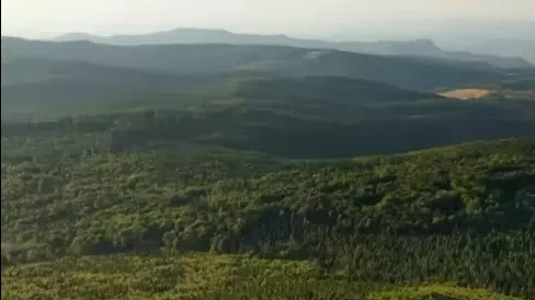 Fotó forrása: Hazajáró / Facebook